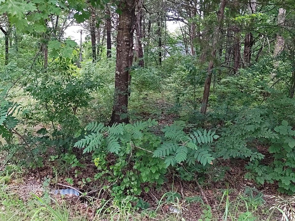 2nd image of 4185 Oakwood Road