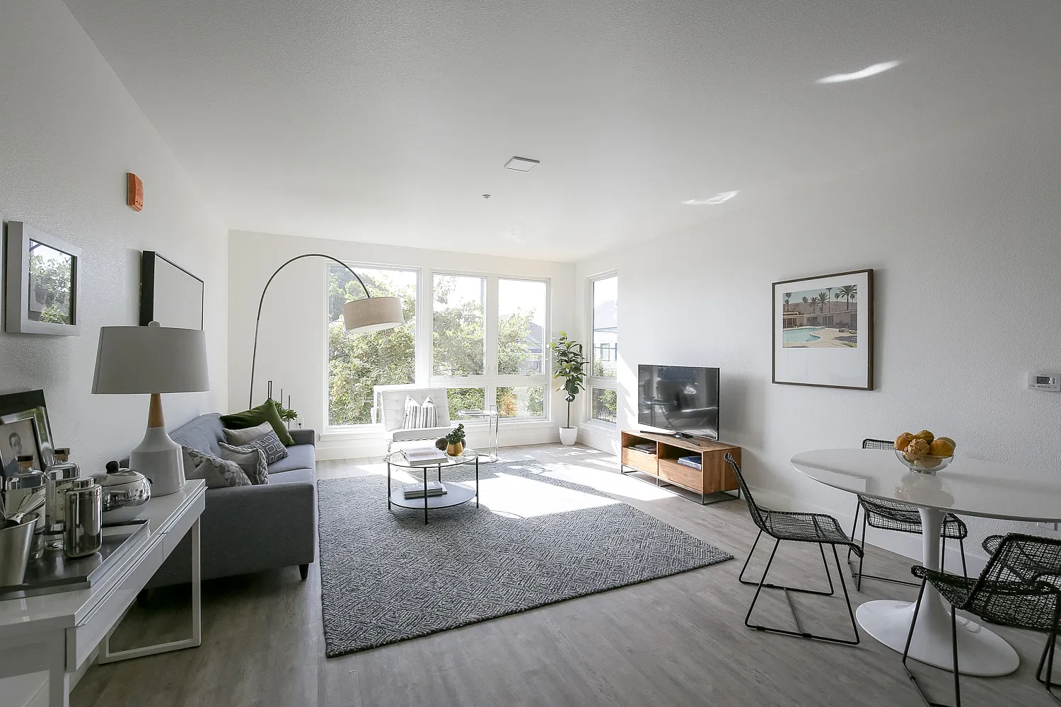 Hollis Oak — Photo 1