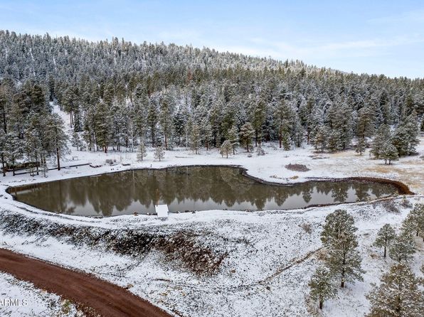 7 N County Road 1332 #46, Greer, AZ 85927