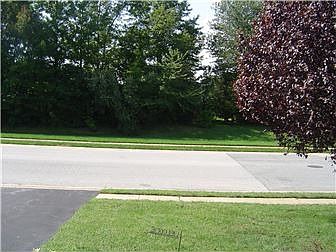 View from front step