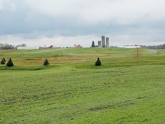 4th image of L3 Blue Victoria