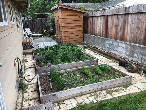 Backyard Raised Beds