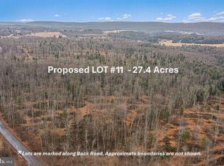 LOT 11 Back Rd S, Barnesville, PA 18214