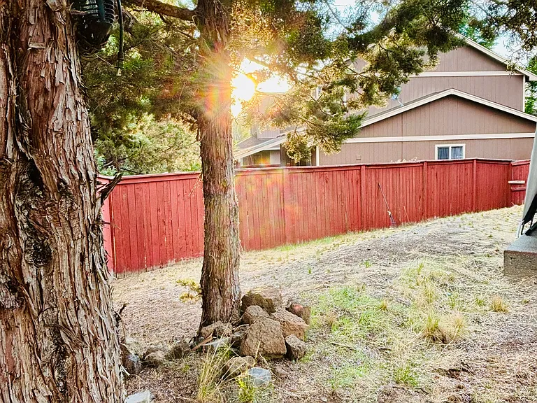 61208 Brittle Bush St — Photo 14