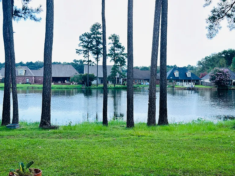 12563 S Lakeshore Dr — Photo 7