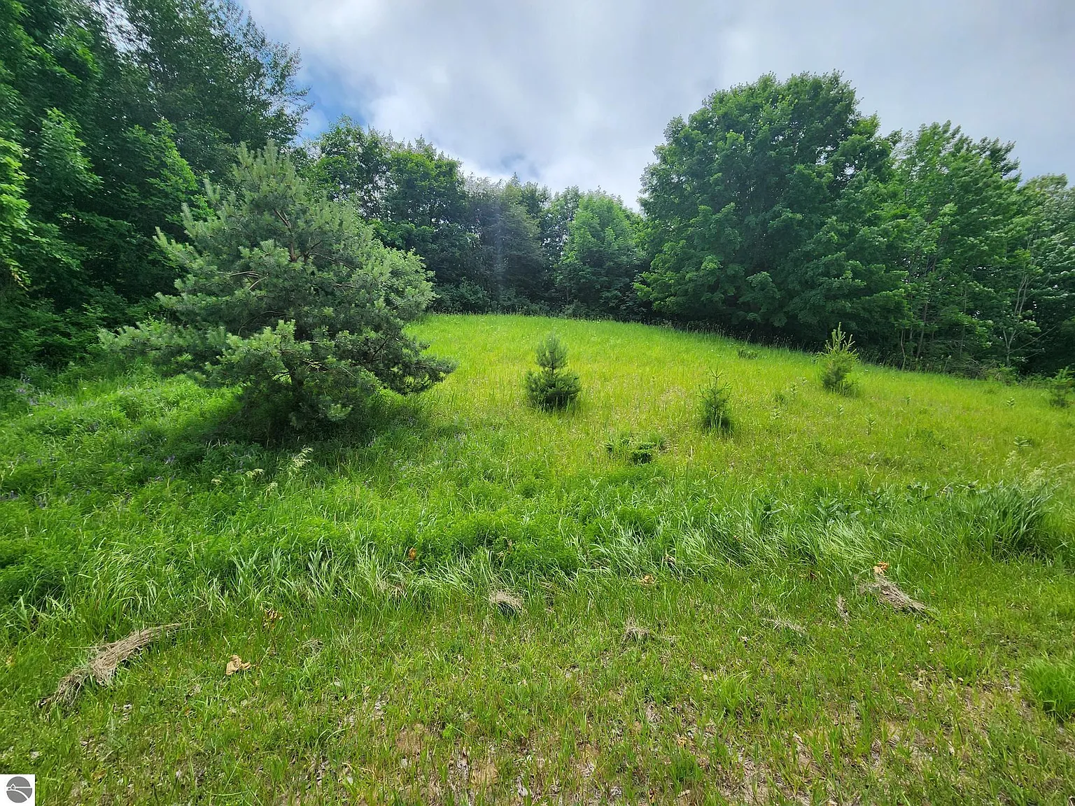 0 Deer Ridge Trl photo 1