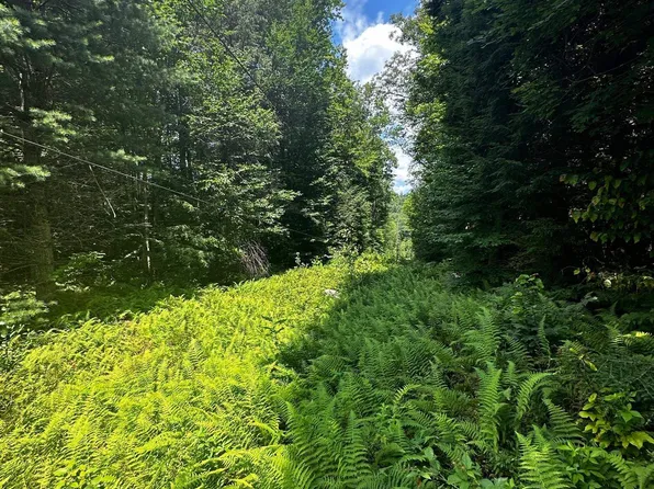 Collins Road, Marlboro, VT 05344