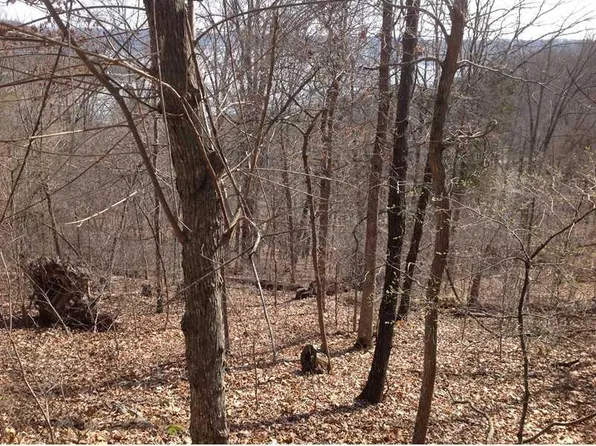 Elm Ave, Ave, AR 72732