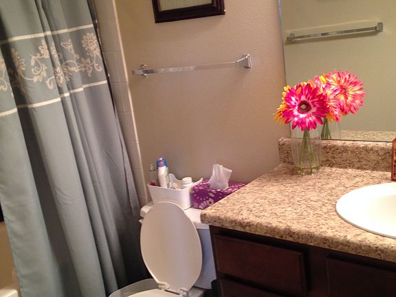 Full Bath with Garden tub