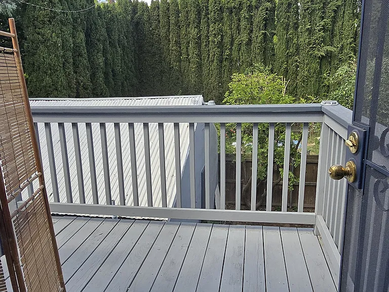 Back Deck