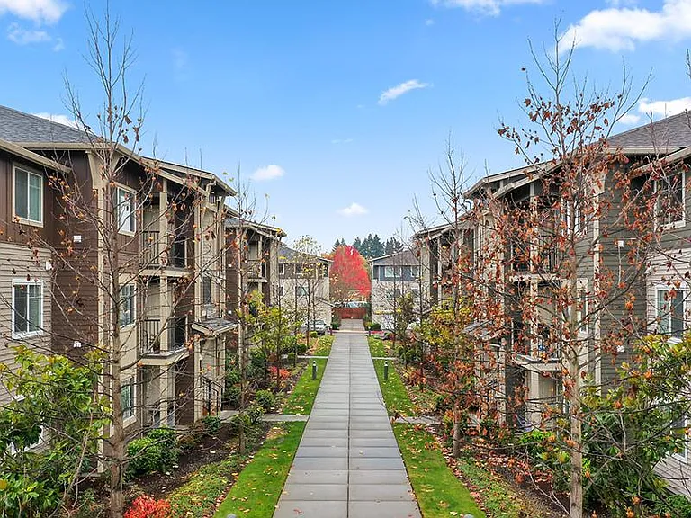 Baseline Woods — Photo 22