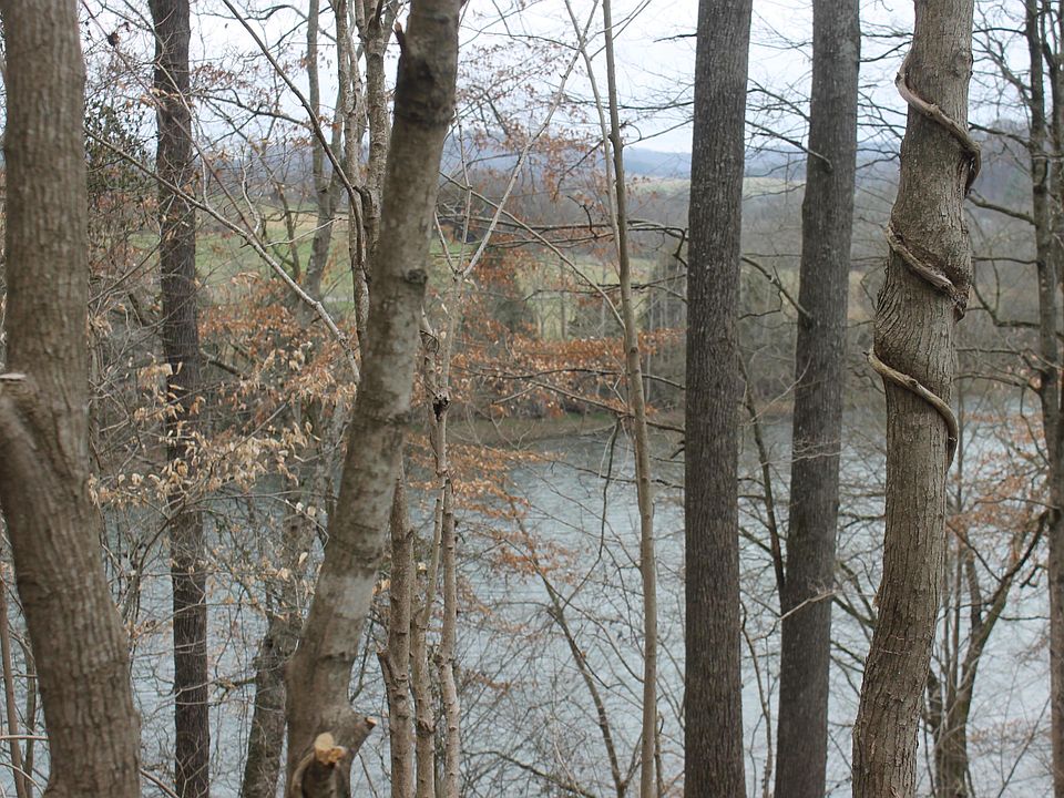 2nd image of River Mist Cir