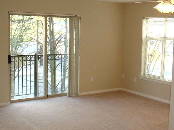 Large, Bright Windows