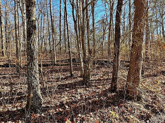 2nd image of 0 County Road 138 Lot 2