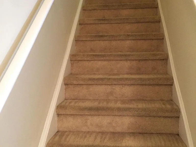 3808 Bison Hill Ln — Photo 7