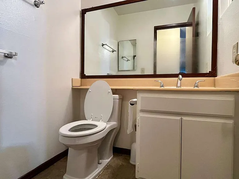 Downstairs half bathroom, next to Living room and front door