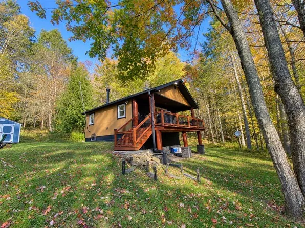 315 Tweedie Rd, East Branch, NY 13756