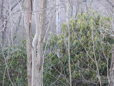 0 Rolling Ridge Trl, Lake Lure, NC, 28746