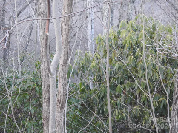 0 Rolling Ridge Trl, Lake Lure, NC 28746