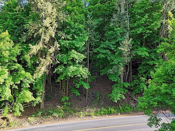 4th image of 0 N Five Mile Rd