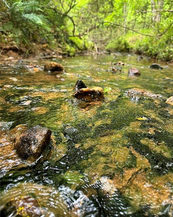 TRACT 6 Griffin Mill Rd, Pickens, SC 29671 Zillow