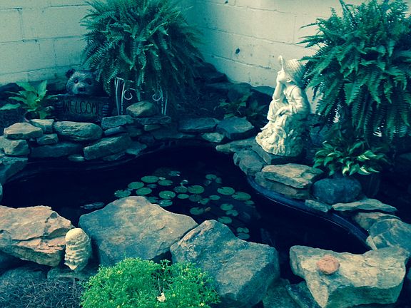 Fish pond
