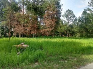 NW 112th Ct LOT 28, Ocala, FL 34482