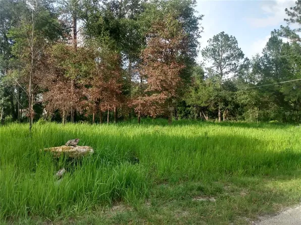 NW 112th Ct Lot 28, Ocala, FL 34482