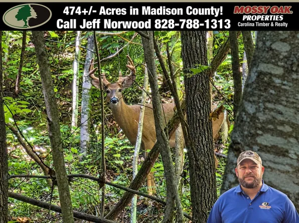 9999 Spillcorn Rd, Marshall, NC 28753