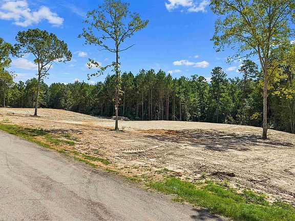 3rd image of LOT 18 County Road 2204d