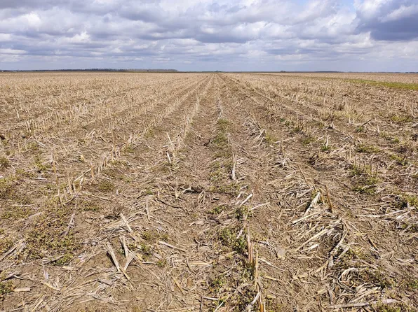 160 Acres Nw 1/4 Of Sec 20 #T19n-r12e, Transylvania, LA 71286