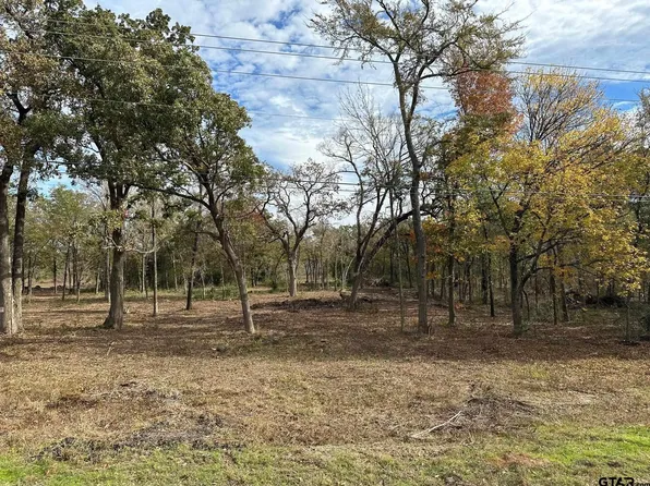 3 E Loop 301, Sulphur Springs, TX 75482