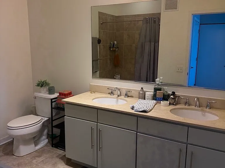 757 N Orleans St #2008 — Photo 10