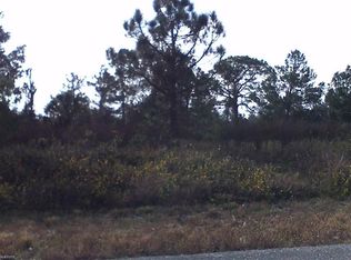 323 Brenhaven Rd, Lake Placid, FL 33852