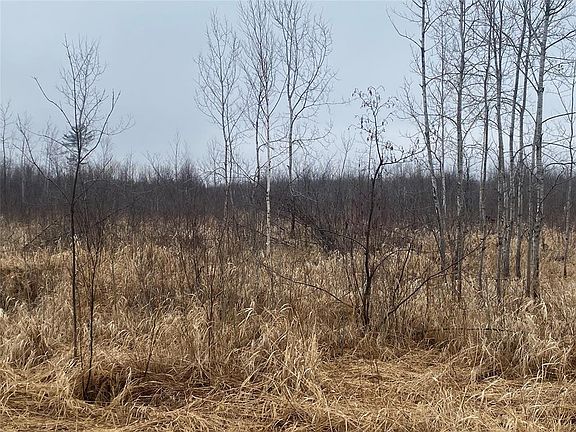 4th image of ON Shauger Road