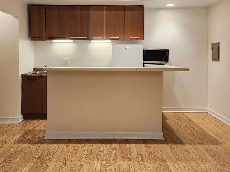 1504 N Dearborn Pkwy, Chicago, IL — Photo 84