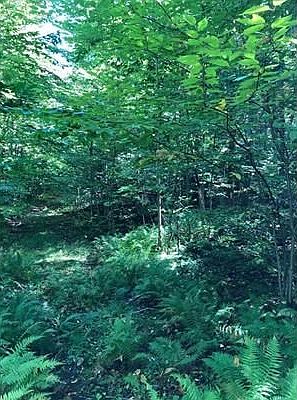 2nd image of Round Hill Rd