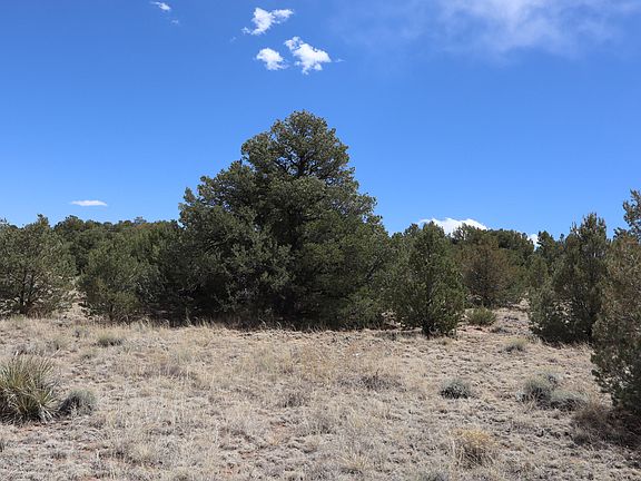 5th image of Greenhorn Vlg Lot 16