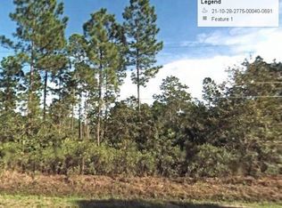 2891 Pineapple St, Bunnell, FL 32110