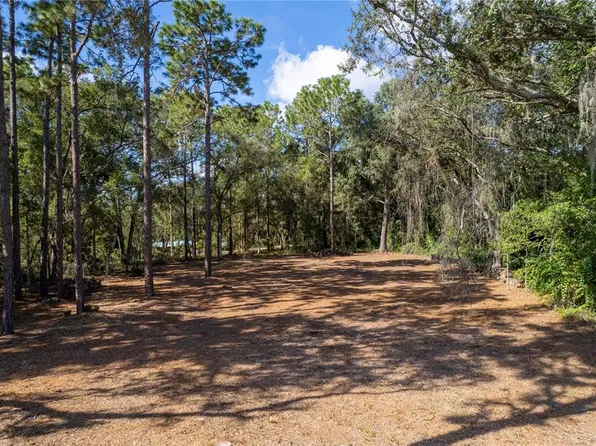 SE 180th Avenue Rd Lot 28, Ocklawaha, FL 32179