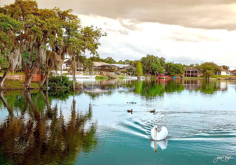 2nd image of 5957 Lake Victoria Dr