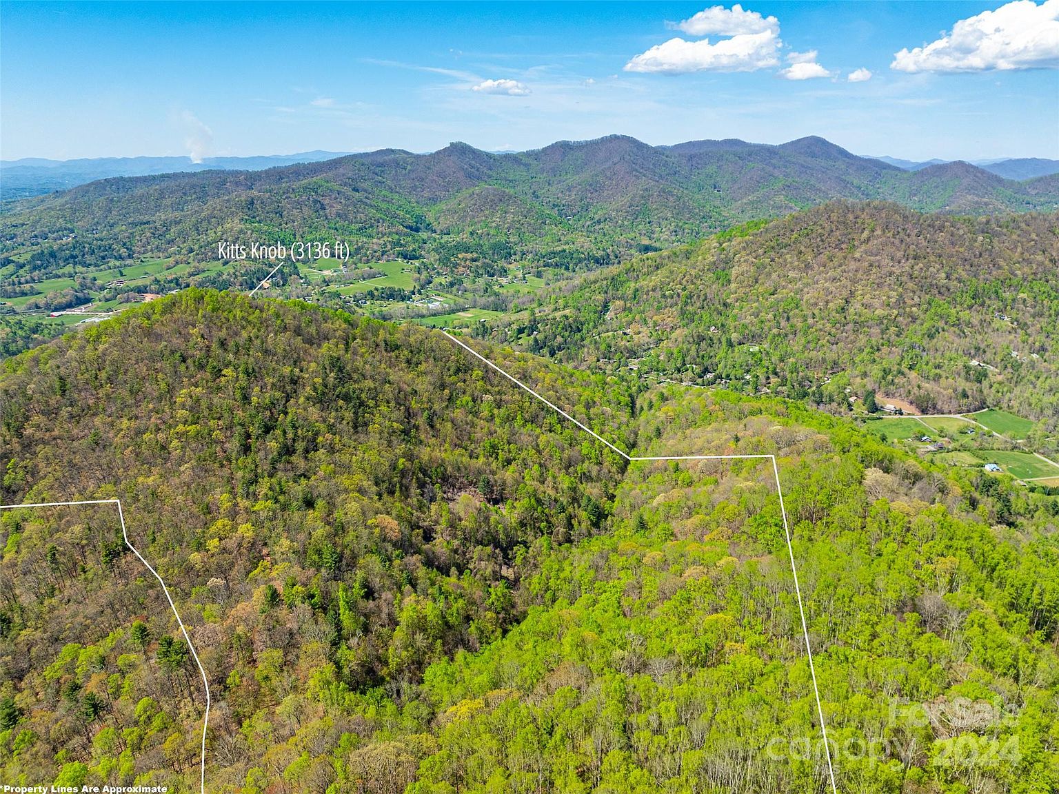 99999 Ox Creek Rd, Weaverville, NC 28787 | MLS #4132872 | Zillow