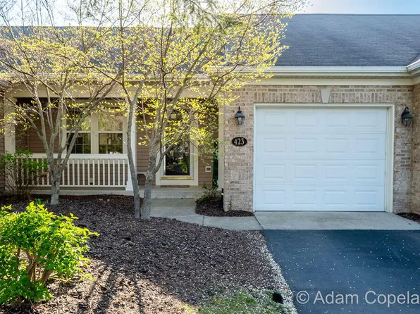 423 Abbey Mill Dr SE, Ada, MI 49301
