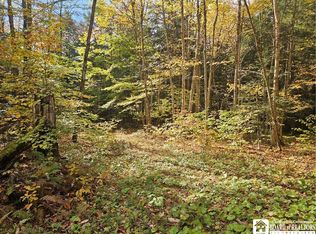 0 Sawmill Run Rd, Little Valley, NY 14755