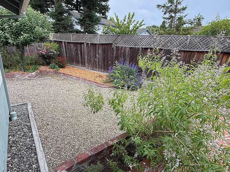 2257 White Chapel Ct — Photo 7