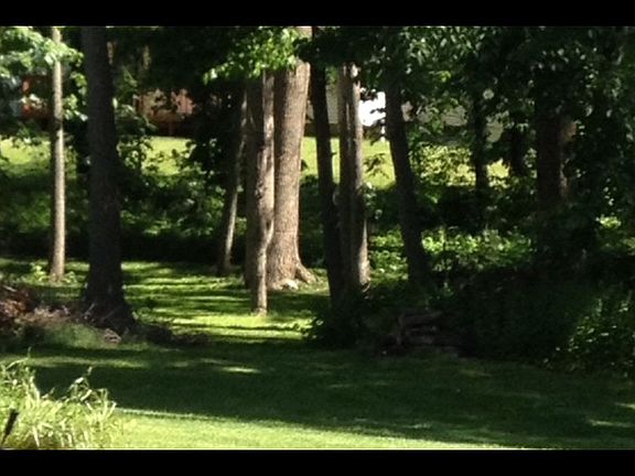 3rd image of 3649 Quadrille Ln