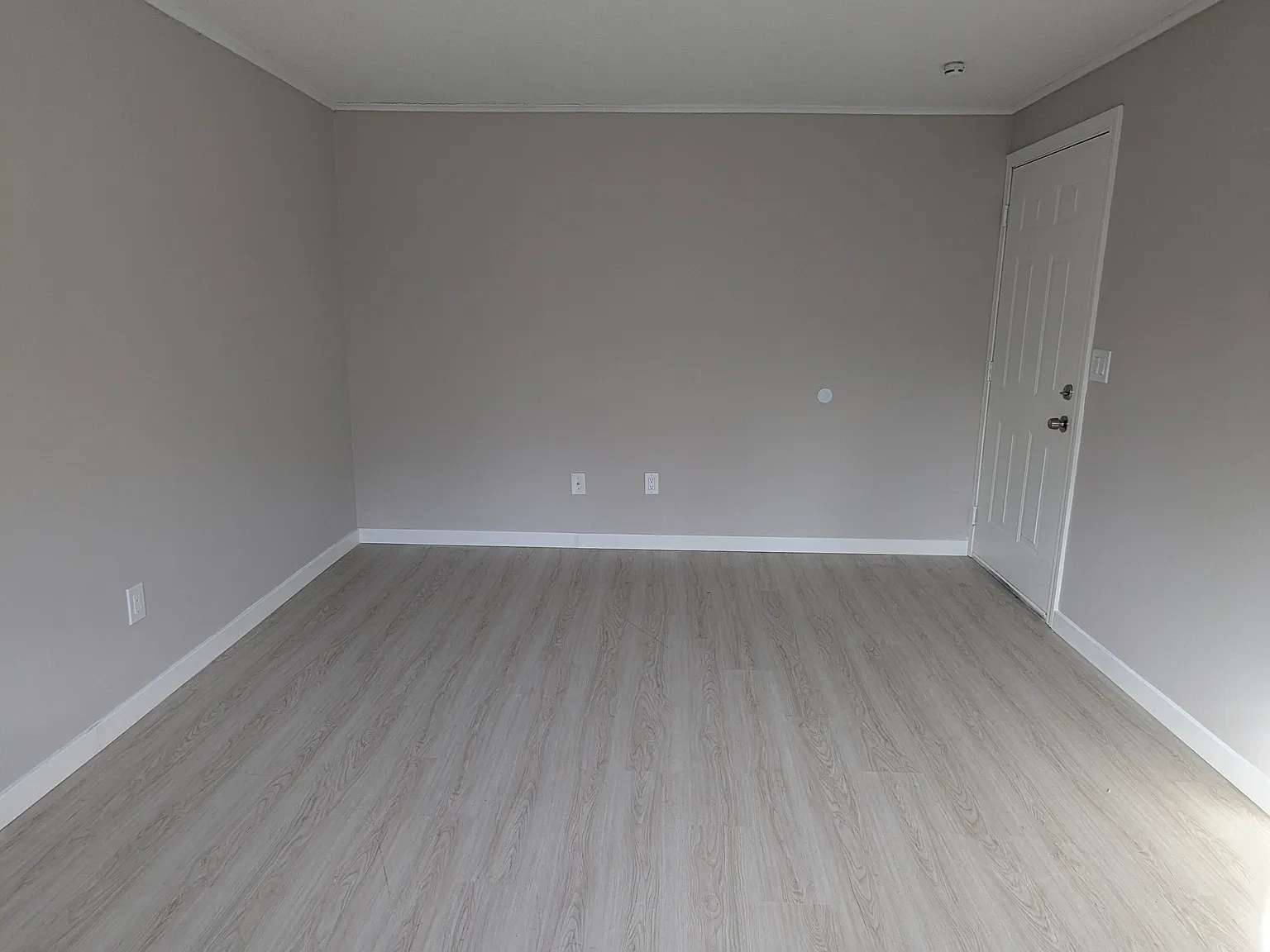 1 bed, $1,250 — Photo 4