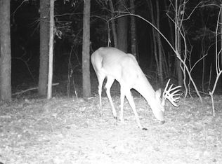 0 County Road 3216, De Kalb, TX 75559