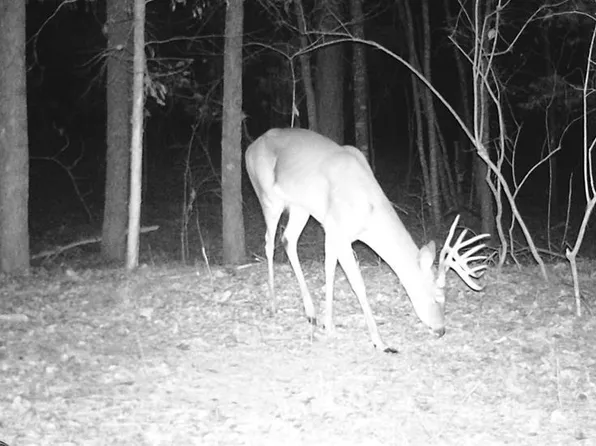 0 County Road 3216, De Kalb, TX 75559