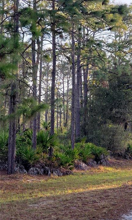 1st image of 922 Oleander Dr